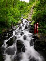 喜羊羊要上200层