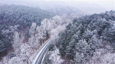 小人国救援